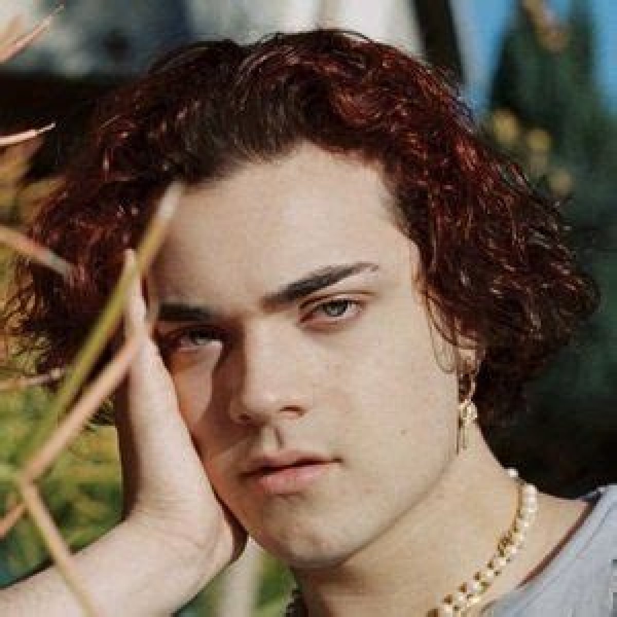 Alexander Stewart (Pop Singer) - Age, Birthday, Bio, Facts, Family, Net Worth, Height & More