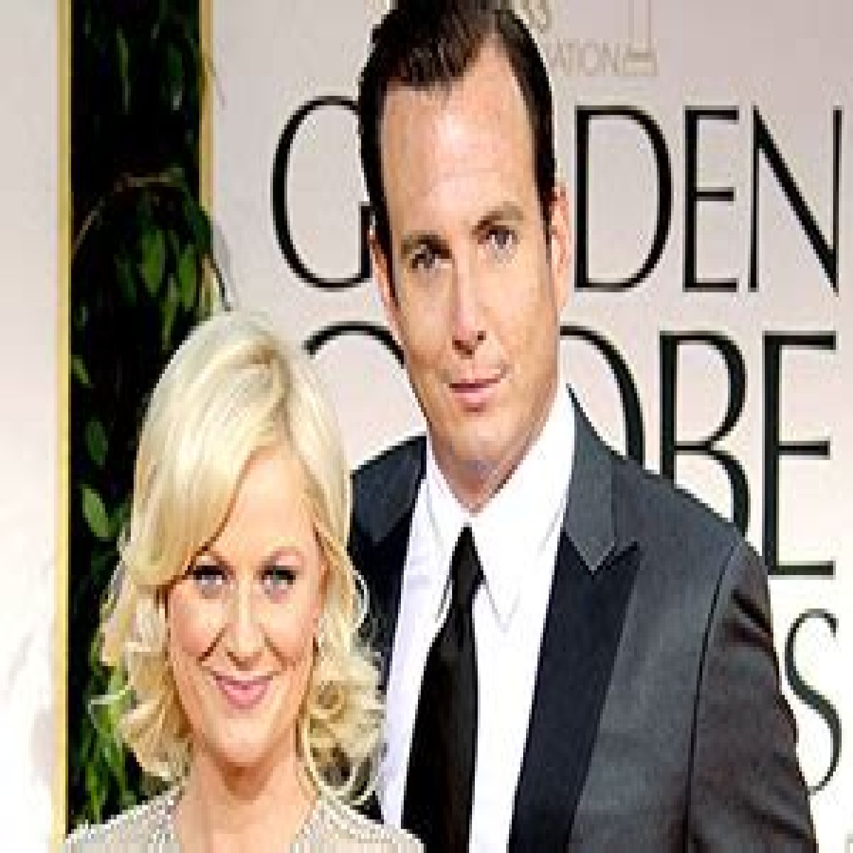 Amy Poehler Says Divorcing Will Arnett "Really Sucks"