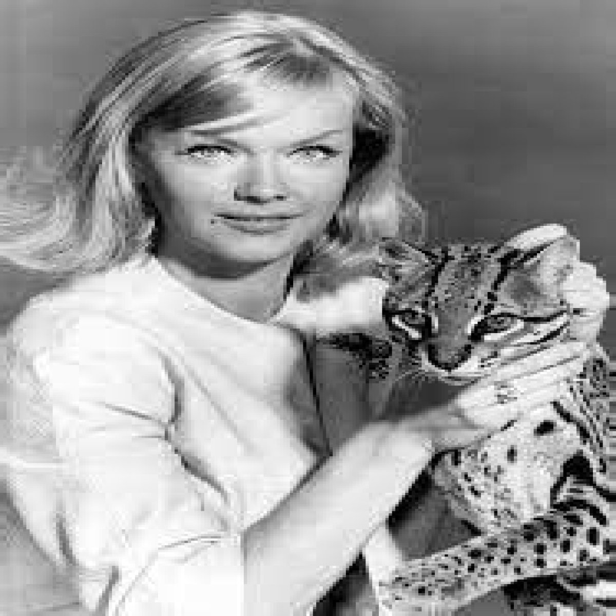 Anne Francis Net Worth