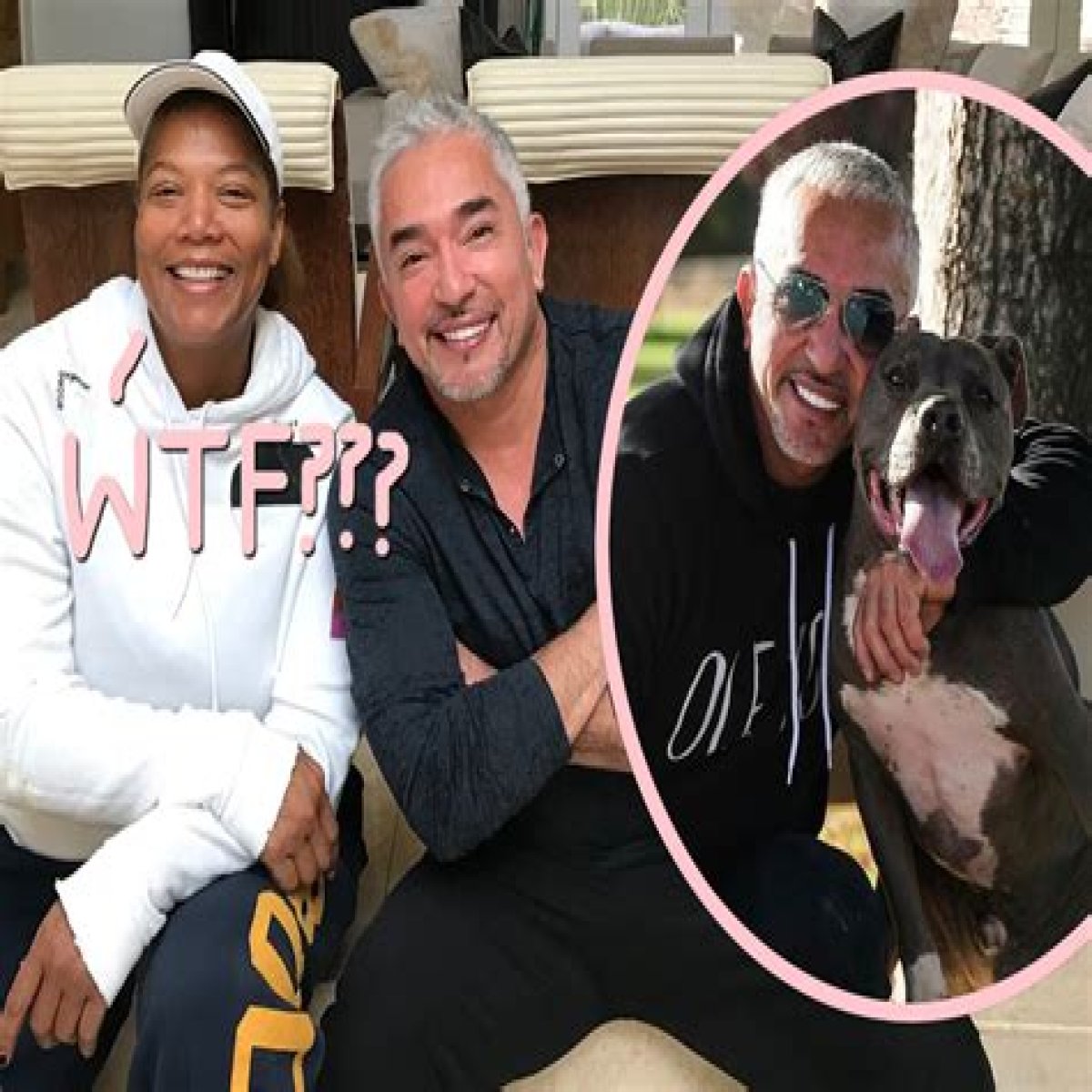 Dog trainer Cesar Millan’s pit bull killed Queen Latifah’s dog, and he tried to cover it up