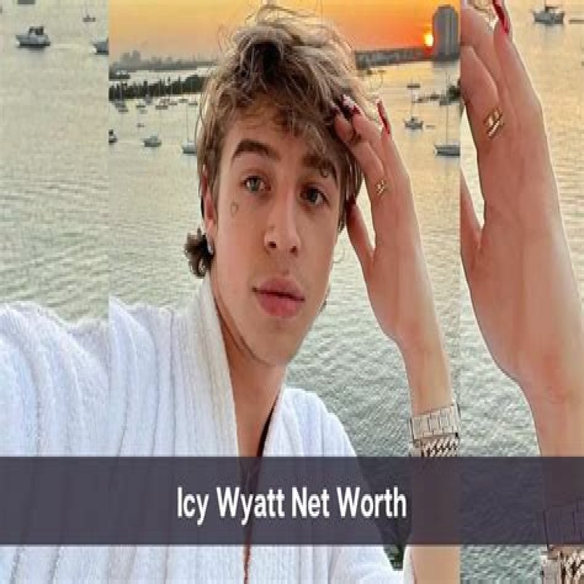 Icy Wyatt Net Worth 2024