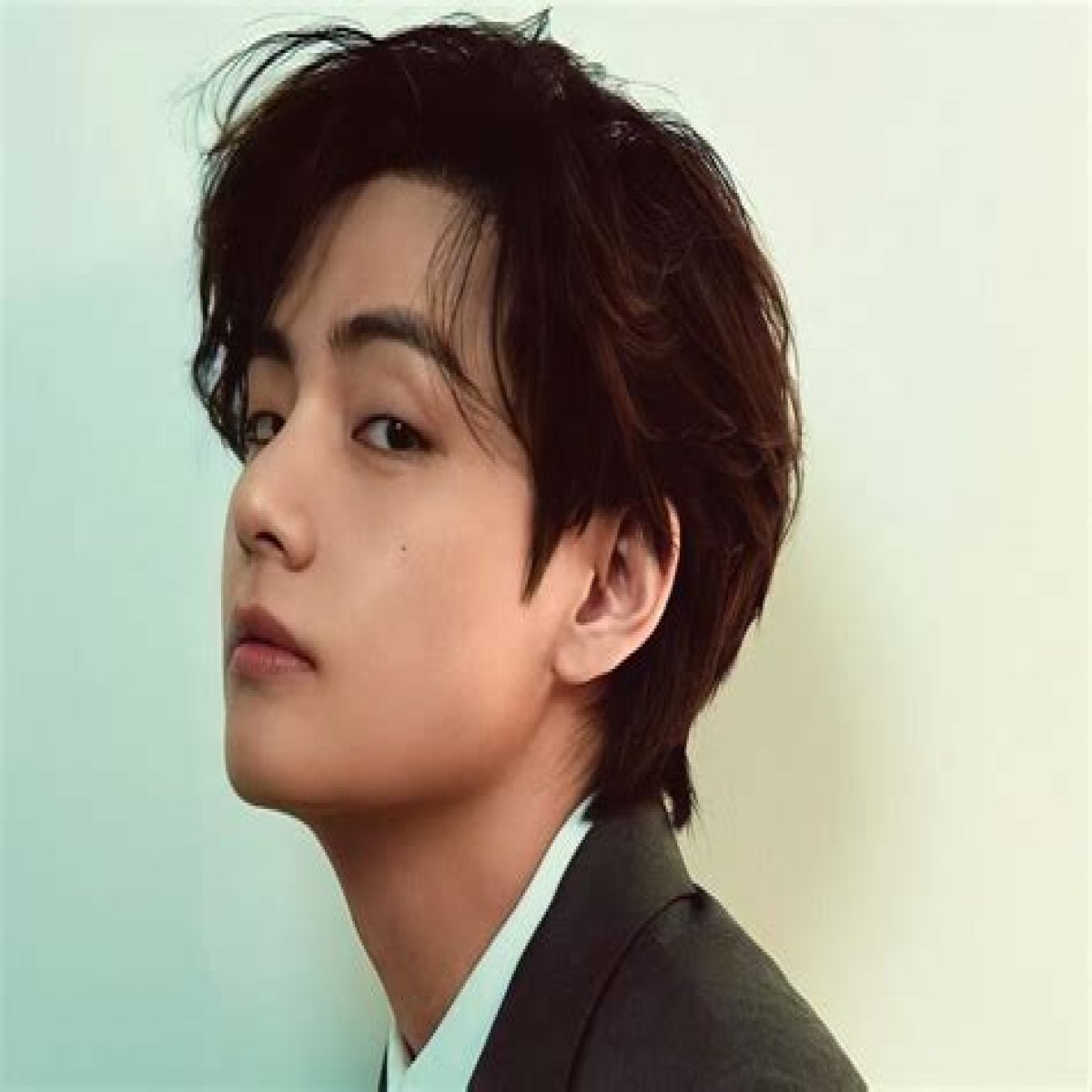 Is Kim Taehyung Gay Or Bi? Sexuality Gender And Partner