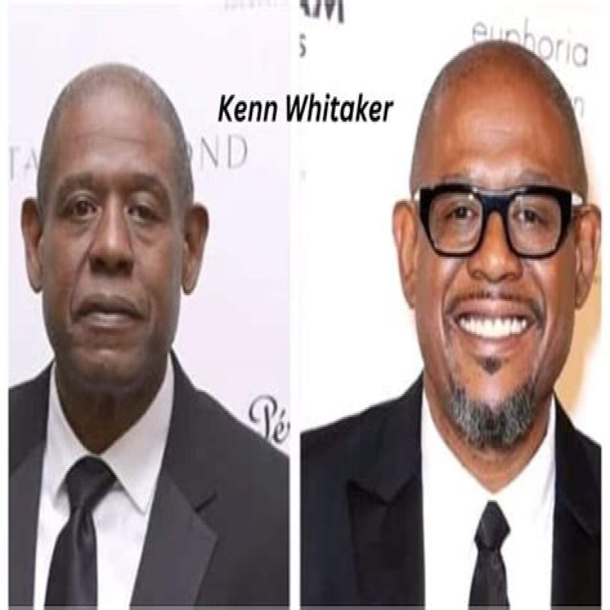 Kenn Whitaker Wikipedia, Wiki, Movies, IMDB, Net Worth, Age