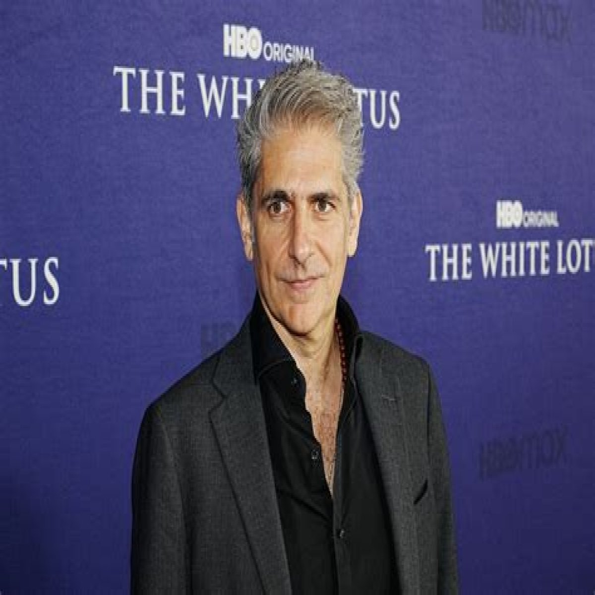 Michael Imperioli Siblings: Who Is John Imperioli?