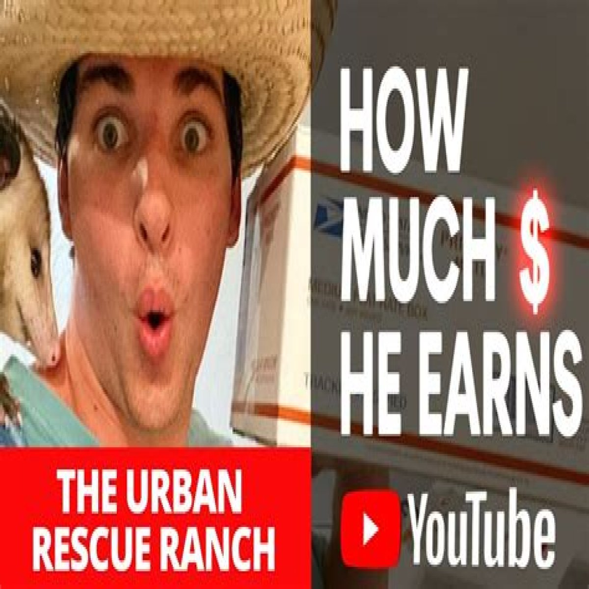 Urban Rescue Ranch: Uncovering The Disturbing Truth Of Animal Abuse