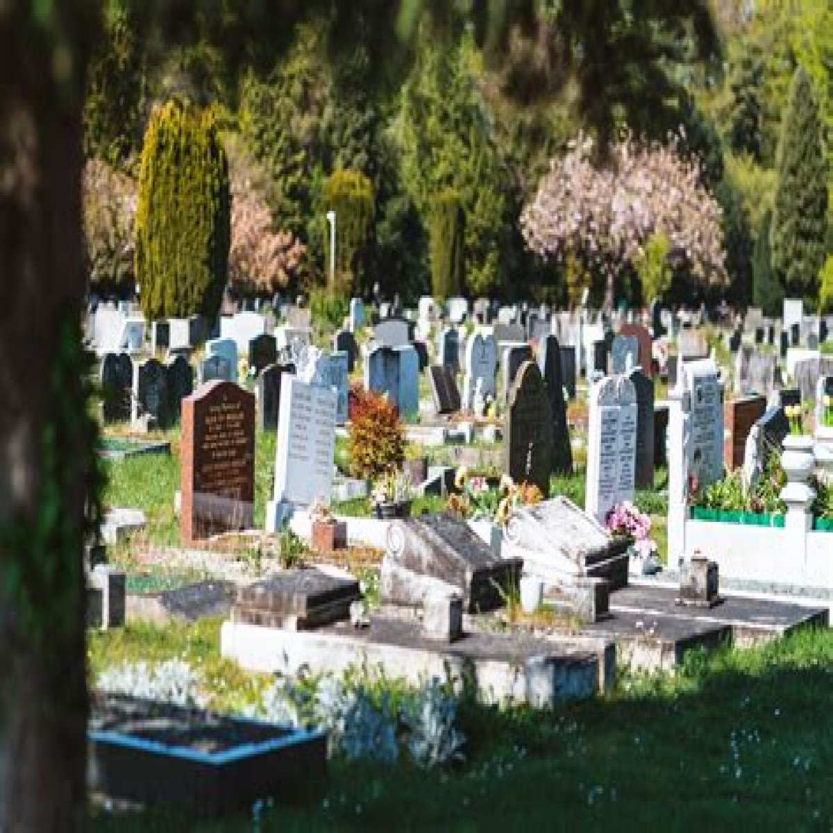 Where will Taylor Hawkins be buried? Funeral home, burial site, find a grave