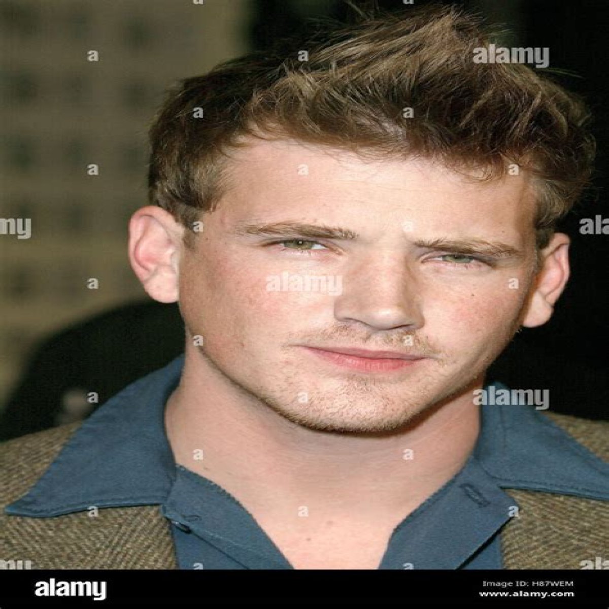 William Lee Scott Net Worth 2024